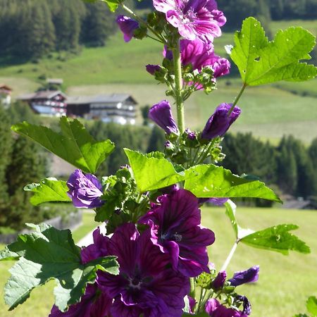 Haus Panoramablick Apartman Kals-am Großglockner Kültér fotó